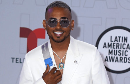 Ozuna Net Worth