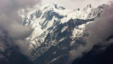 missed call trends analysis