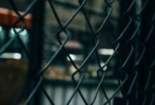 caller investigation prevention network