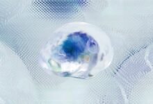 caller security monitoring network