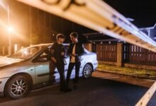 fraud detection activity report