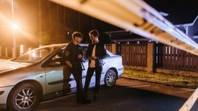 fraud detection activity report