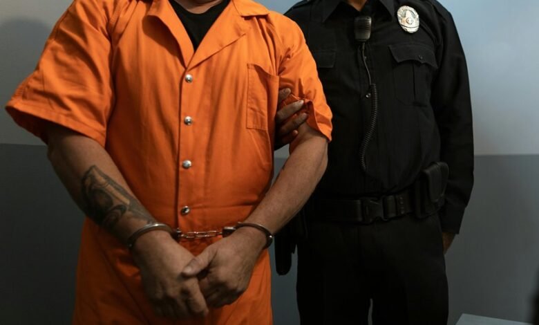 fraud detection enforcement institute