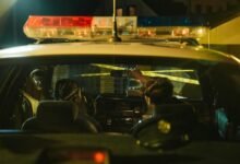 fraud investigation tracking service