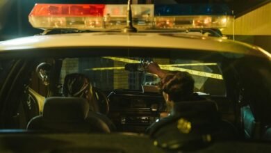 fraud investigation tracking service