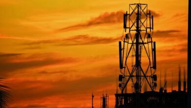 telecommunication oversight verification division