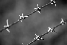 telecommunication security monitoring division