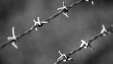 telecommunication security monitoring division