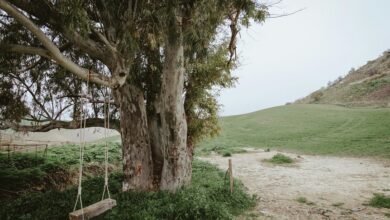 explore new earning opportunities